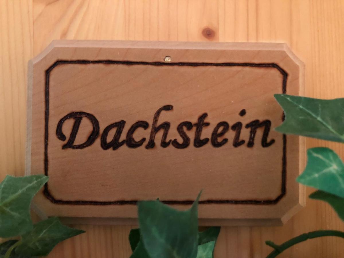 In- Out - Haus Stocker - Direkt An Der Skipiste By Schladmingurlaub Schladming