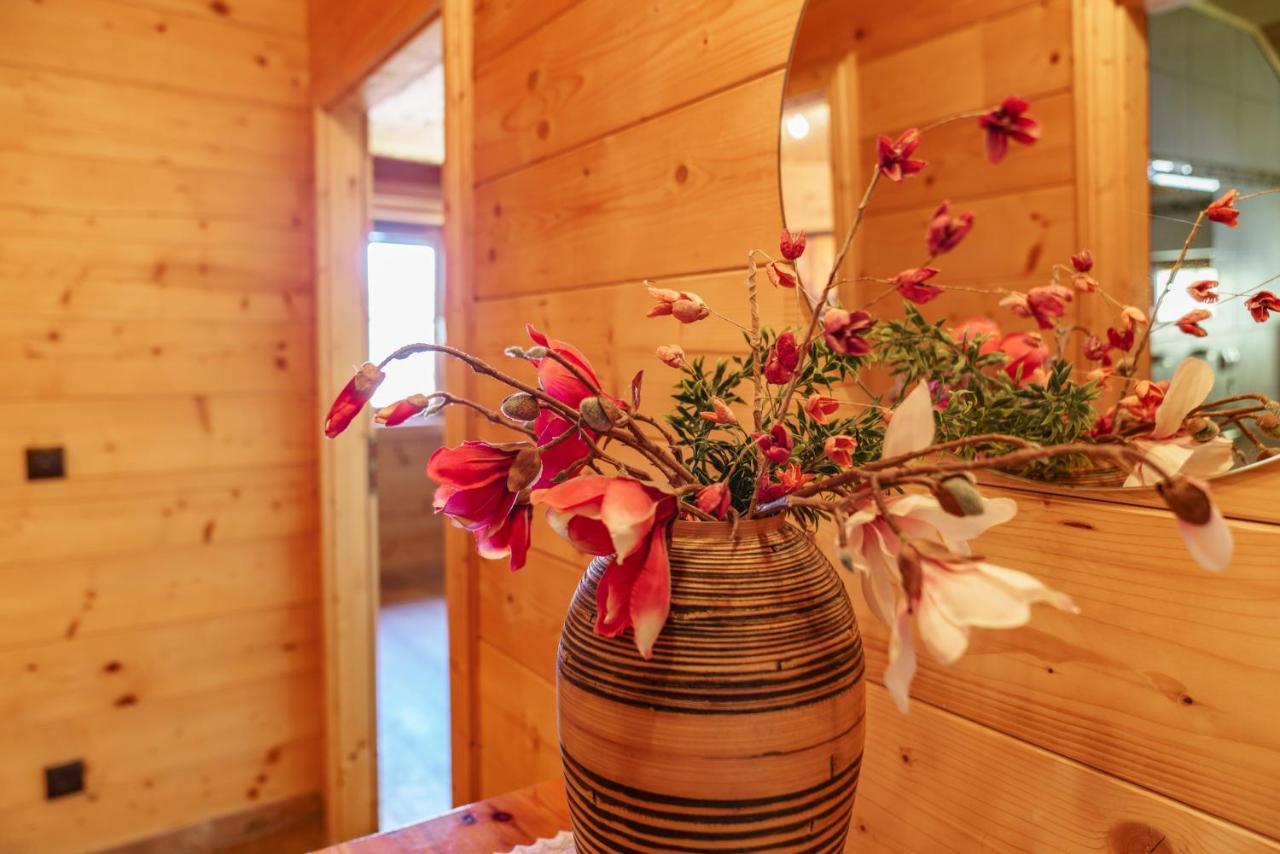 Apartamento In- Out - Haus Stocker - Direkt An Der Skipiste By Schladmingurlaub Schladming
